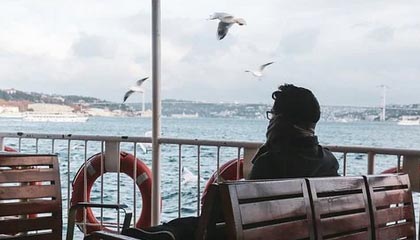 韓國國會(huì)議員柳榮夏開會(huì)時(shí)畫大猩猩，引熱議，曾擔(dān)任樸槿惠律師，幾十年不離不棄