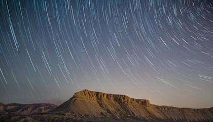 韓國國會議員柳榮夏開會時畫大猩猩，引熱議，曾擔(dān)任樸槿惠律師，幾十年不離不棄