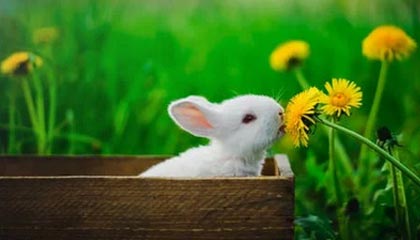 果然沒讓大陸失望！鄭麗文第二波人事任命公布，信號(hào)特殊