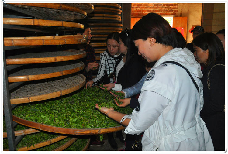 深圳哪里學(xué)茶藝比較正規(guī)?