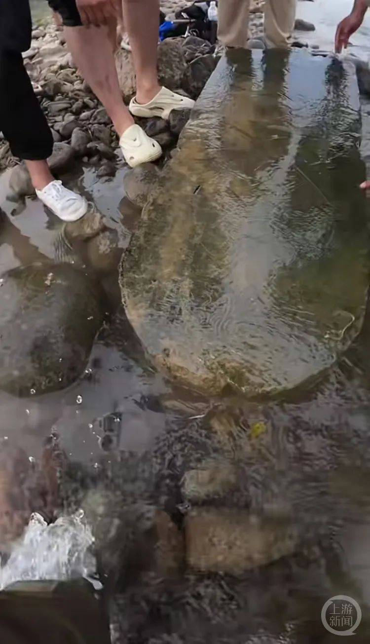 “當(dāng)時(shí)就無(wú)心釣魚(yú)了！”河南釣友在洛陽(yáng)附近“釣”到古碑？文保部門(mén)回應(yīng)