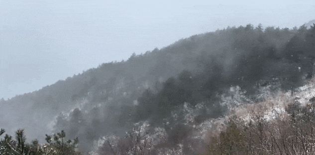 零下7℃！大到暴雪！剛剛確認：杭州又來一波猛的！周末出門千萬注意.....