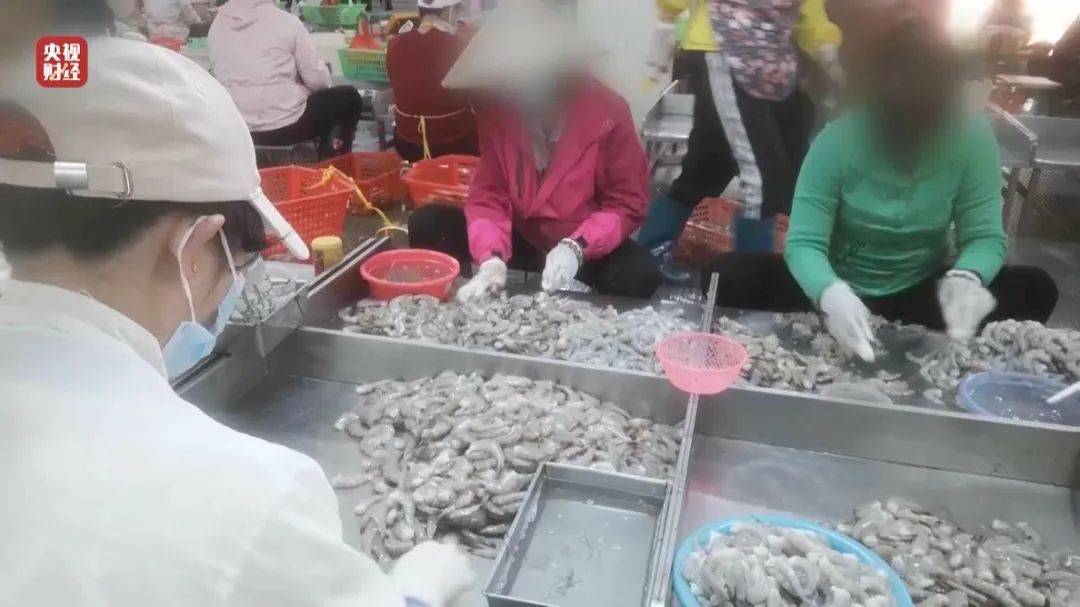 太嚇人！央視3·15晚會曝光：嚴重超標！工人坦言：我自己從來不吃