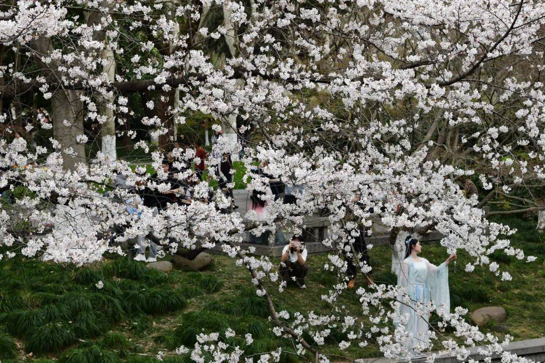 暴降17℃！浙江明起“大變臉”：暴雨、雷暴大風(fēng)、冰雹都要來(lái)！