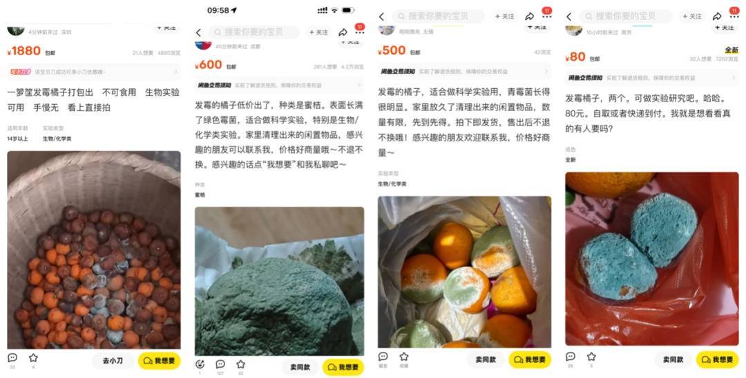 突然火了！有人賣500元一個！網(wǎng)友：后悔扔了……