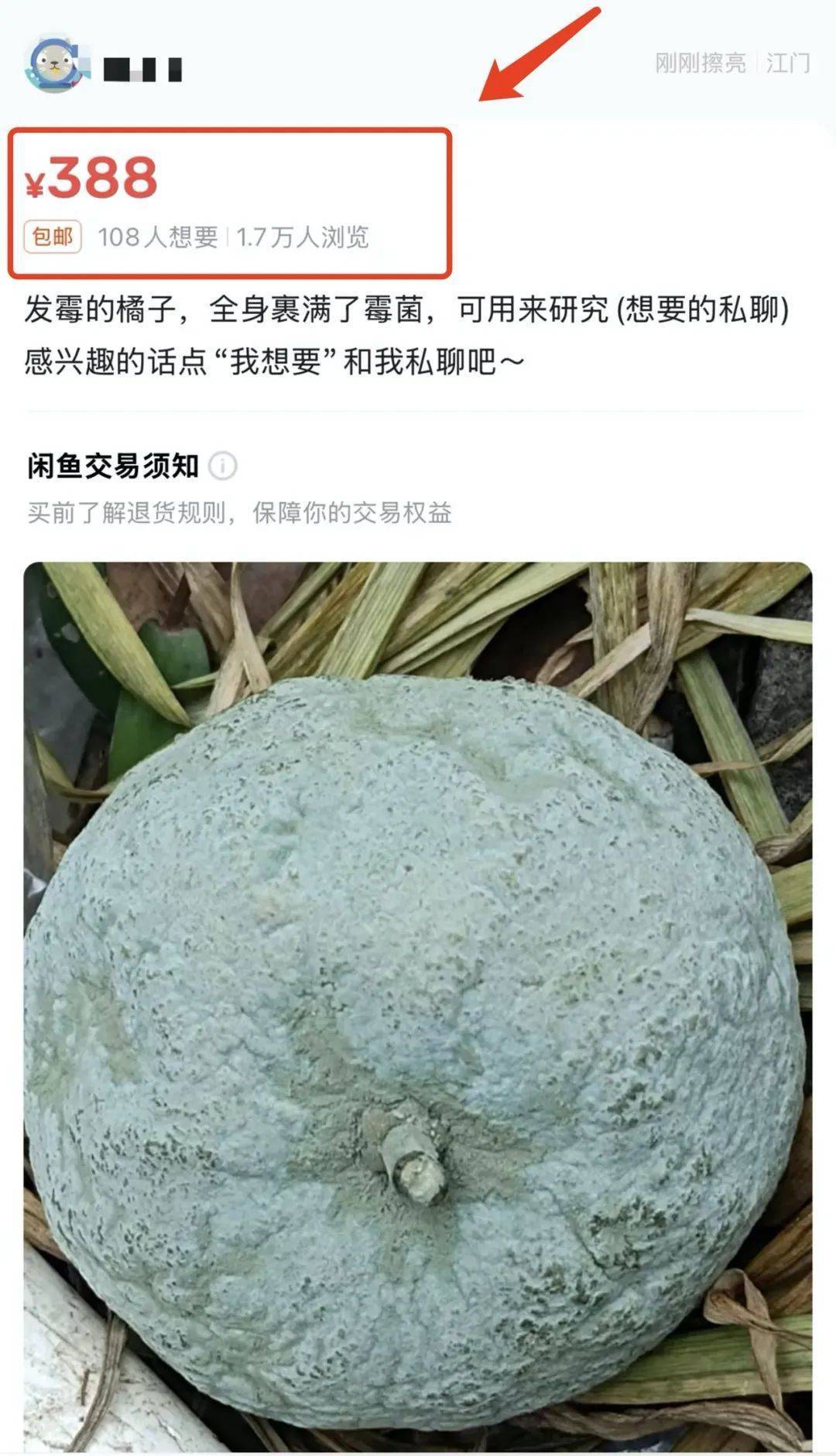 突然火了！有人賣500元一個！網(wǎng)友：后悔扔了……