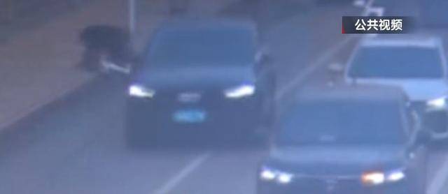 騎自行車碰瓷！北京一六旬男子騙取25人共4.6萬余元，法院判了