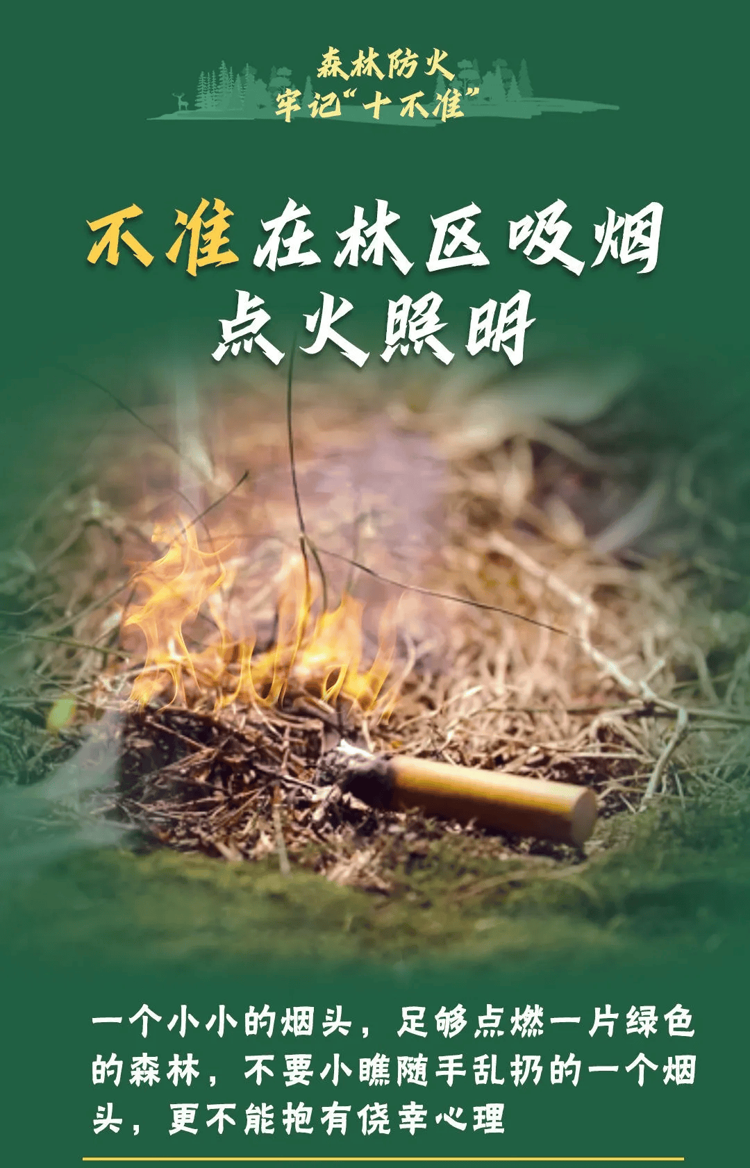 山火連發(fā)，原因公布！多地拉響紅色預(yù)警→