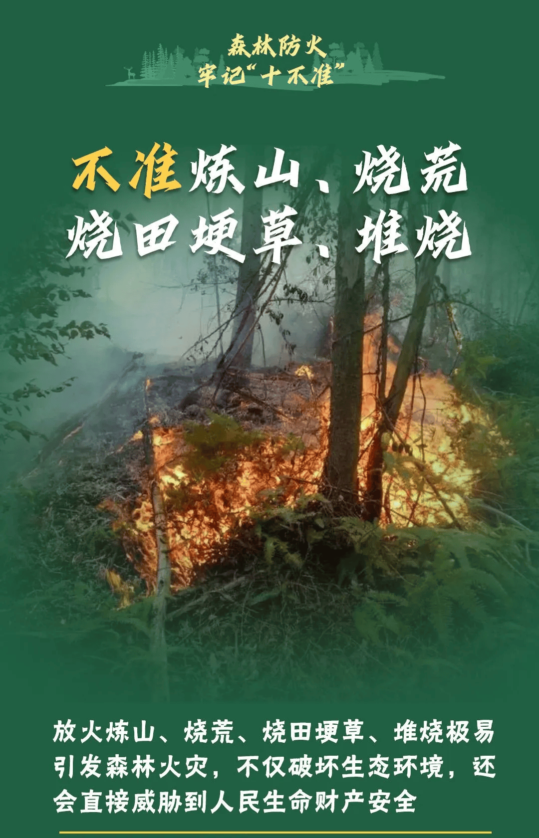 山火連發(fā)，原因公布！多地拉響紅色預(yù)警→