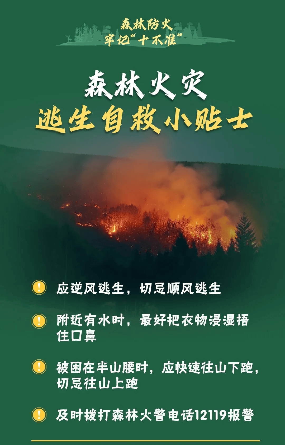 山火連發(fā)，原因公布！多地拉響紅色預(yù)警→