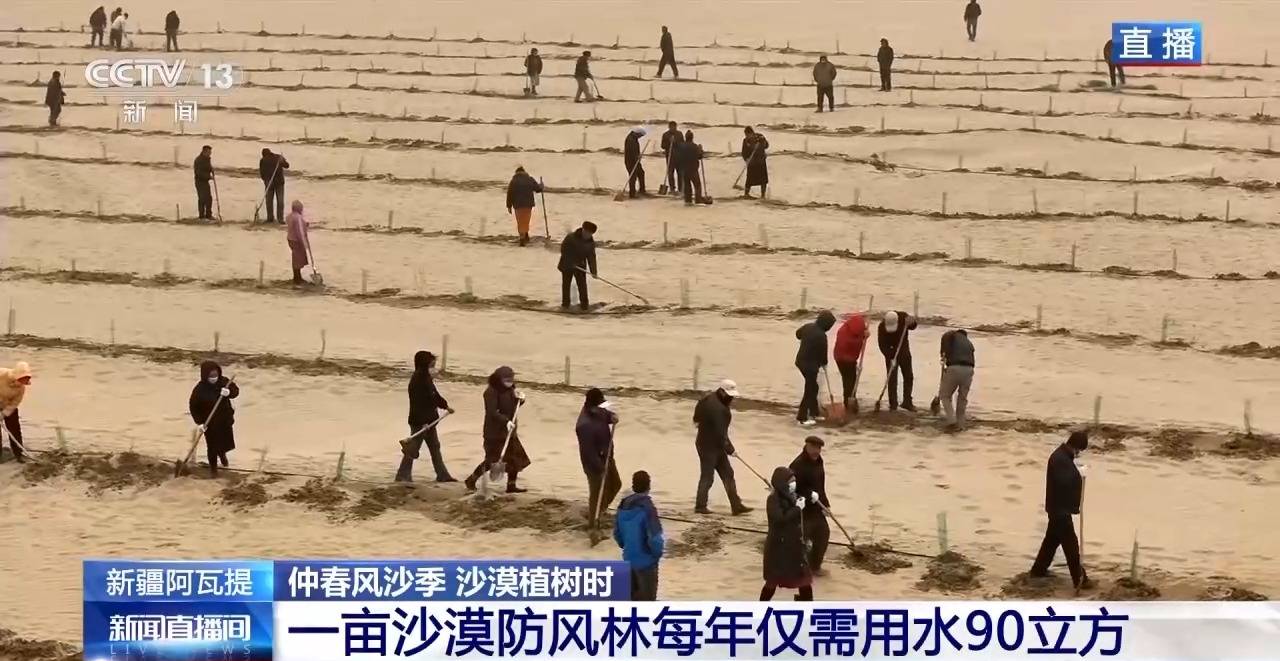 “鎖邊”→“擴(kuò)邊” 塔克拉瑪干沙漠植樹(shù)造綠迎來(lái)新進(jìn)展