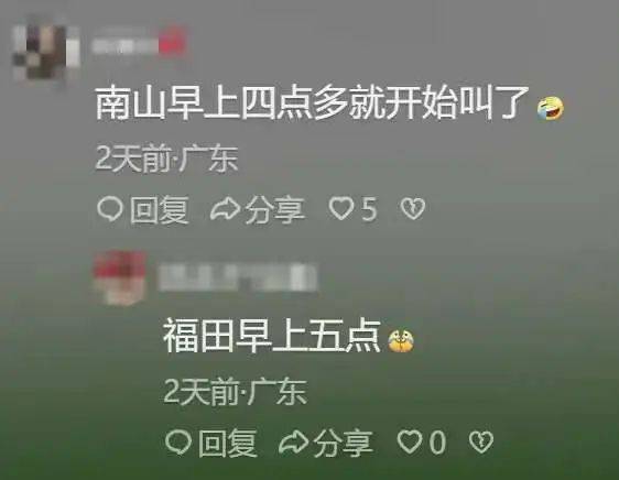 “周末想睡個(gè)懶覺都不行”，有多少深圳人被這種鳥吵到神經(jīng)衰弱