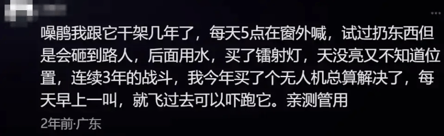 “周末想睡個(gè)懶覺都不行”，有多少深圳人被這種鳥吵到神經(jīng)衰弱