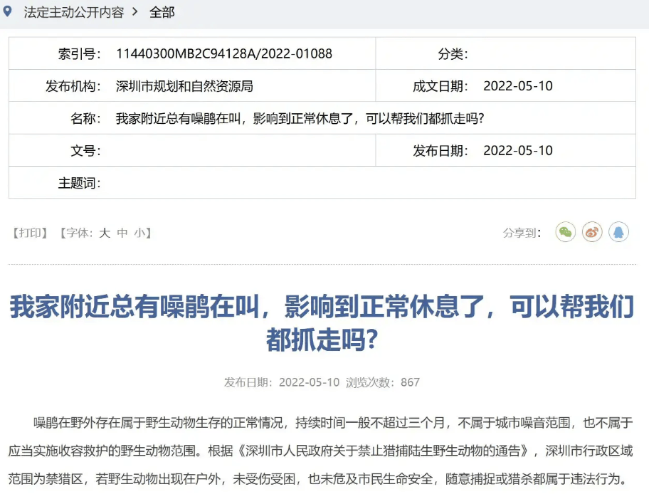 “周末想睡個(gè)懶覺都不行”，有多少深圳人被這種鳥吵到神經(jīng)衰弱