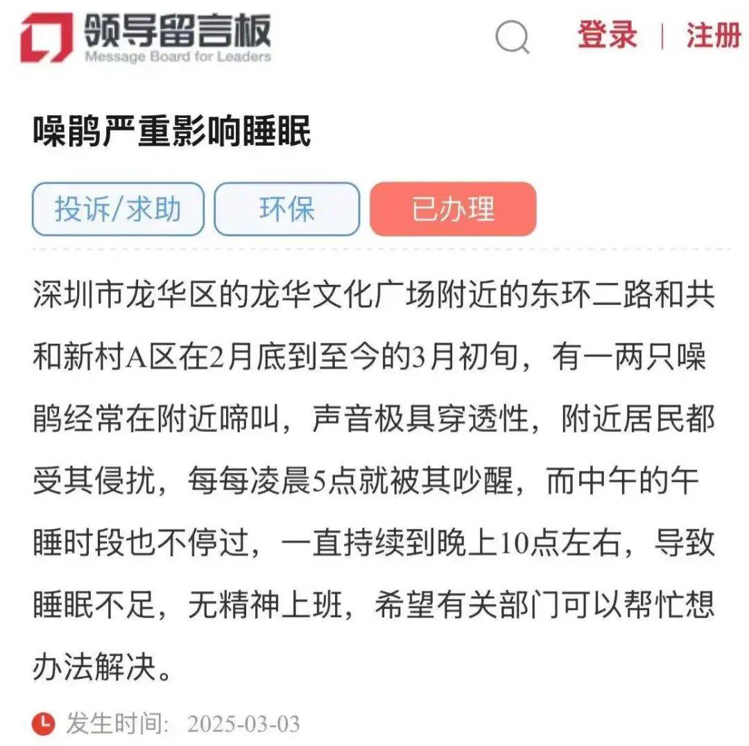 “周末想睡個(gè)懶覺都不行”，有多少深圳人被這種鳥吵到神經(jīng)衰弱