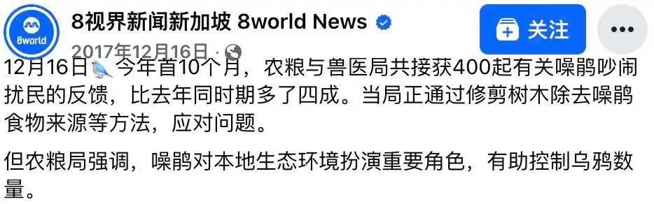 “周末想睡個(gè)懶覺都不行”，有多少深圳人被這種鳥吵到神經(jīng)衰弱