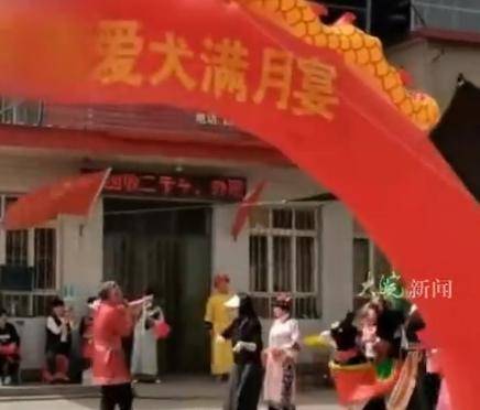 河北一店鋪給狗辦滿月宴引爭議，當(dāng)事人：不是炒作，只是愛狗