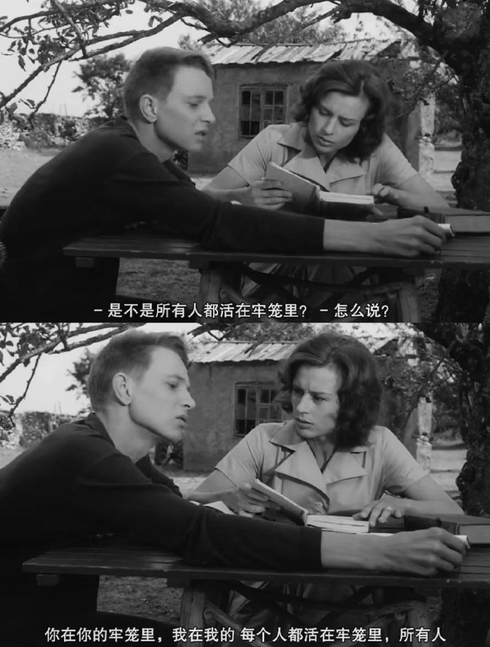300起步的“縣城鳥”，被中產(chǎn)搶瘋了