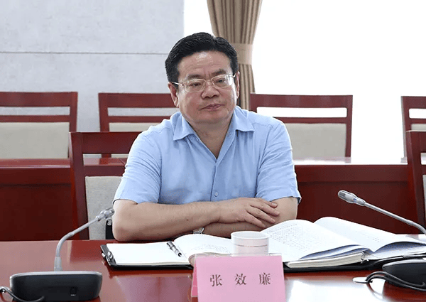 官迷心竅、利令智昏！中共中央批準(zhǔn)，開除張效廉黨籍