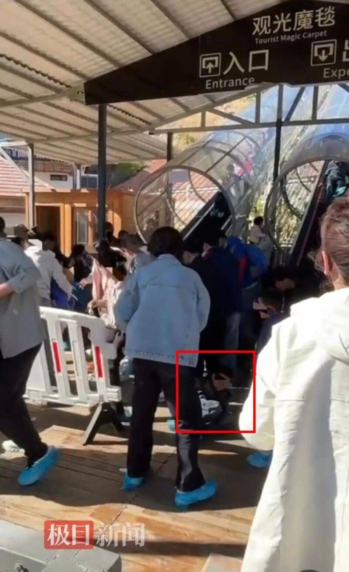 張家口一景區(qū)觀光魔毯失控，多名游客被甩出，文旅局介入調(diào)查