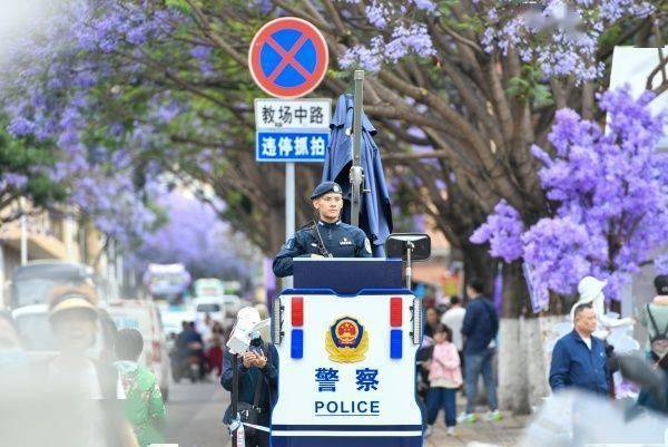 昆明警方：今年藍(lán)花楹開放以來(lái) 教場(chǎng)路核心賞花區(qū)刑事警情零接報(bào)