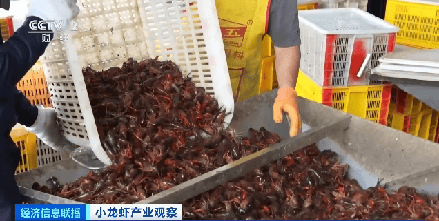 價(jià)格暴跌近50%！“接下來還會(huì)降”！青島正大量上市……