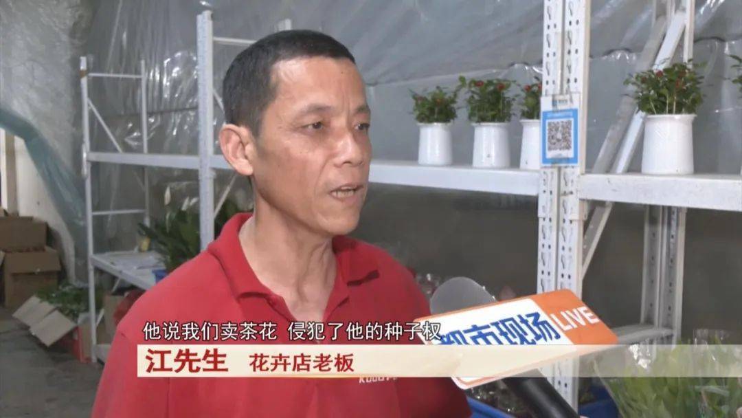 男子賣了三盆花，引來五萬索賠