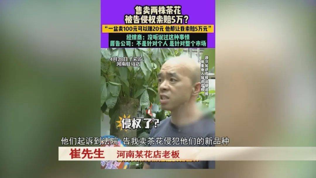 男子賣了三盆花，引來五萬索賠