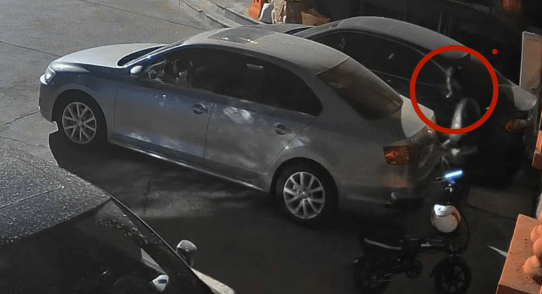 北京一代駕小哥亂扔煙頭，凌晨燒毀一輛車！警方：拘