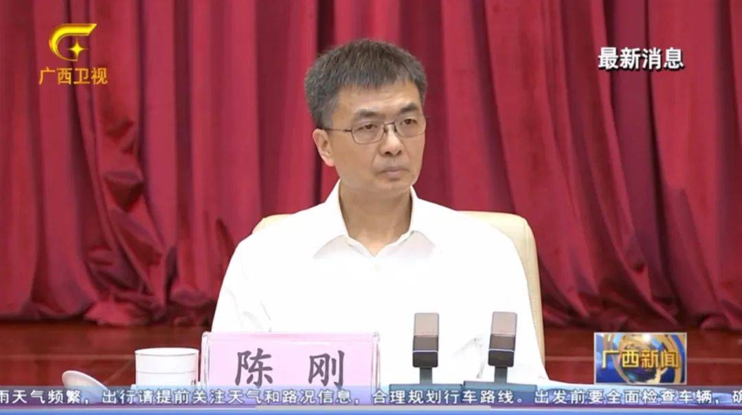 倒查十年！陳剛要求嚴(yán)肅追責(zé)，6位省部級任組長