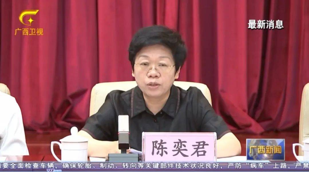 倒查十年！陳剛要求嚴(yán)肅追責(zé)，6位省部級任組長