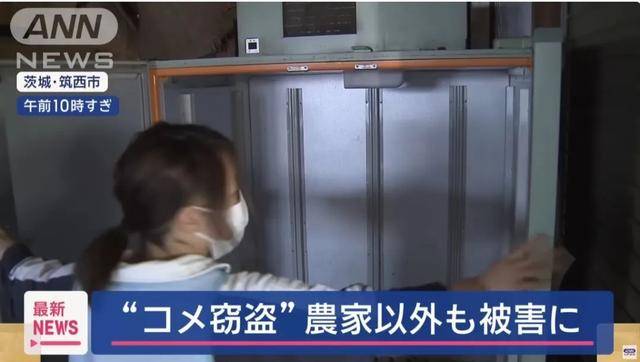 米太貴！日本人在米袋里放GPS防偷