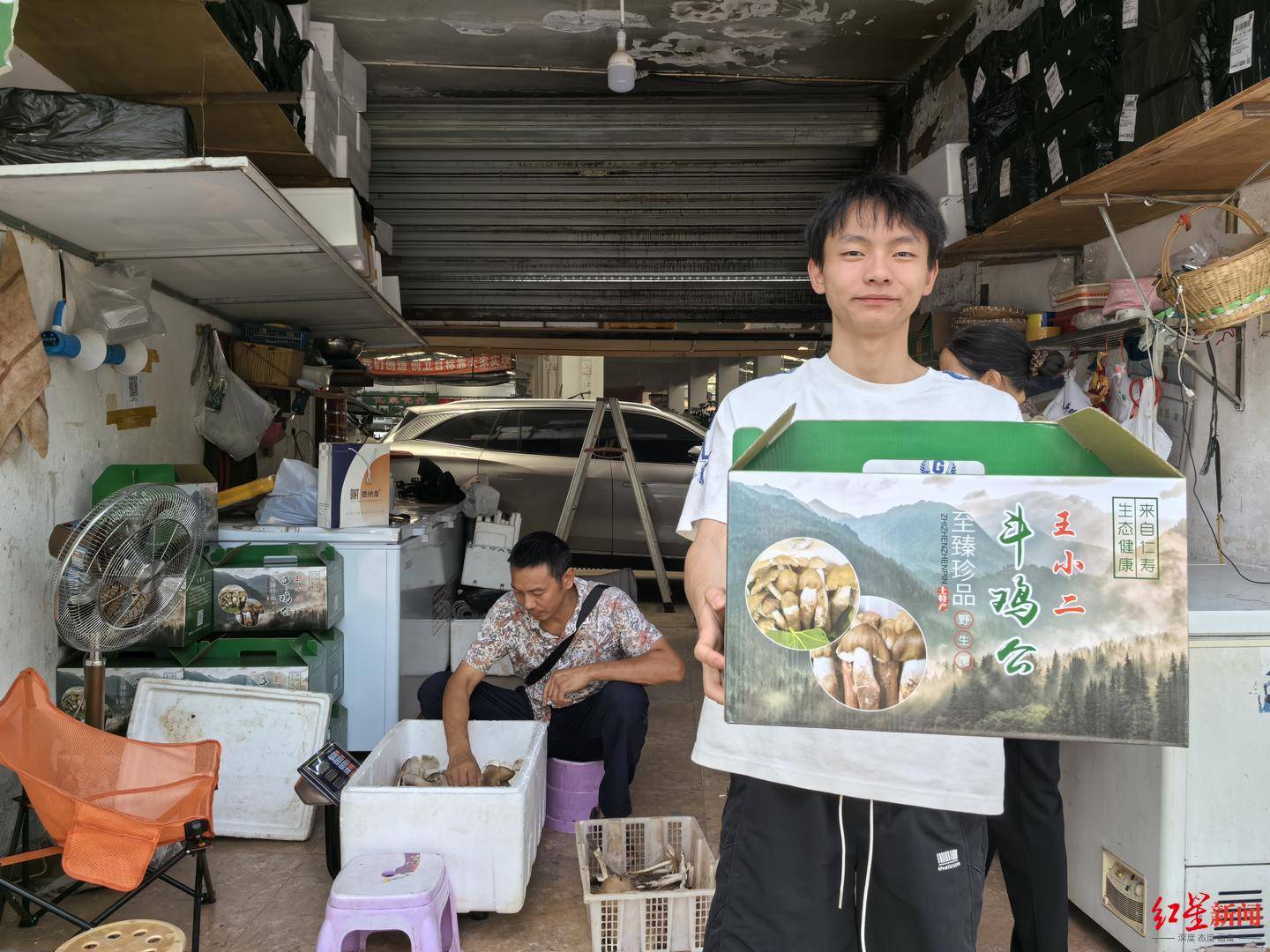“天價(jià)”雞樅調(diào)查：最貴賣到1800元/公斤！雨水少致產(chǎn)量低，多地價(jià)高客少