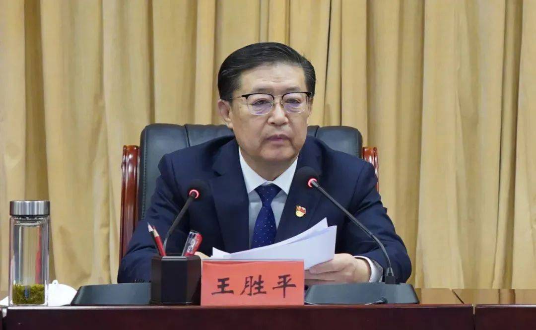 王勝平，被查