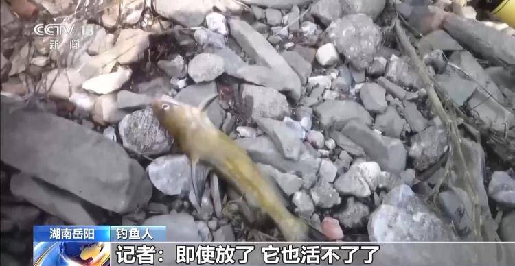 保護(hù)區(qū)里的“瘋狂垂釣”屢禁不止！記者調(diào)查