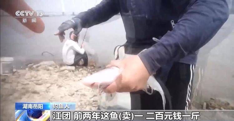 保護(hù)區(qū)里的“瘋狂垂釣”屢禁不止！記者調(diào)查