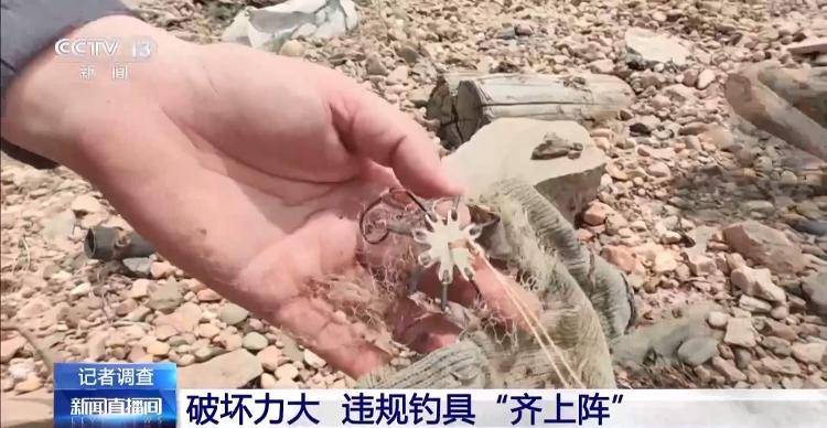 保護(hù)區(qū)里的“瘋狂垂釣”屢禁不止！記者調(diào)查