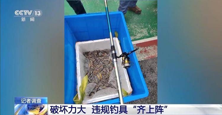 保護(hù)區(qū)里的“瘋狂垂釣”屢禁不止！記者調(diào)查