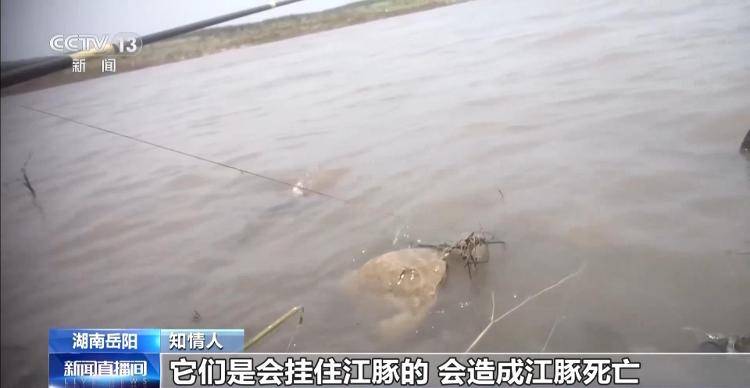 保護(hù)區(qū)里的“瘋狂垂釣”屢禁不止！記者調(diào)查