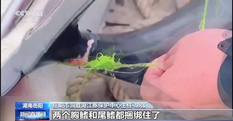 保護(hù)區(qū)里的“瘋狂垂釣”屢禁不止！記者調(diào)查