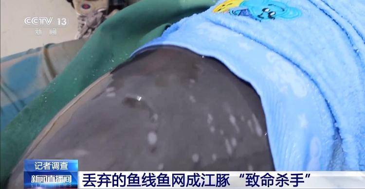 保護(hù)區(qū)里的“瘋狂垂釣”屢禁不止！記者調(diào)查