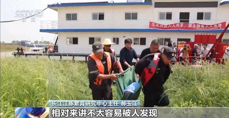 保護(hù)區(qū)里的“瘋狂垂釣”屢禁不止！記者調(diào)查