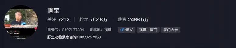 女游客疑被蛇咬傷身亡后，博主“啊寶”講毒蛇1天漲粉190萬