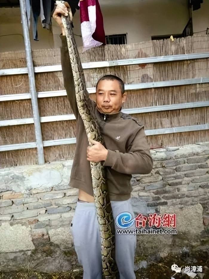 女游客疑被蛇咬傷身亡后，博主“啊寶”講毒蛇1天漲粉190萬
