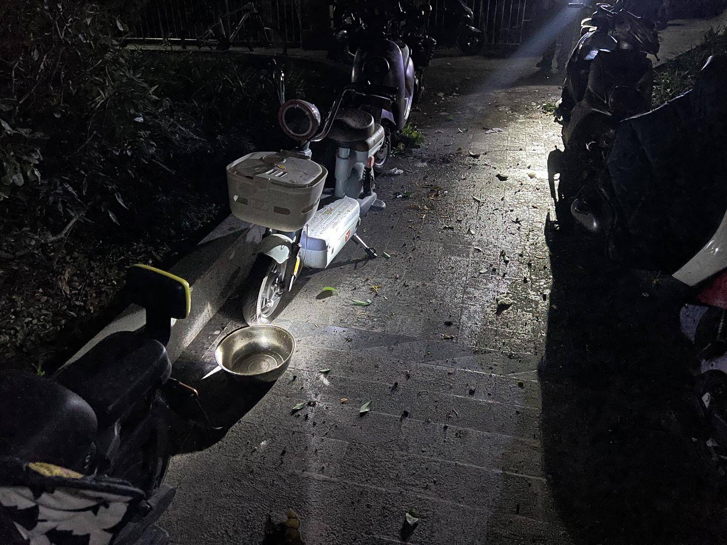 男子與朋友吃酒起爭執(zhí)，竟從10樓扔下綠蘿、蘭花和不銹鋼盆，被刑拘