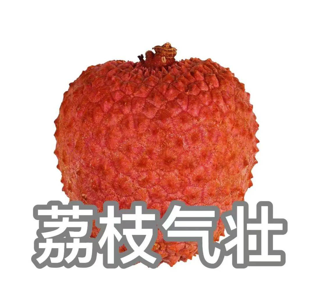 “qí”還是“jì”？“一騎紅塵”怎么讀？網(wǎng)友吵翻了......