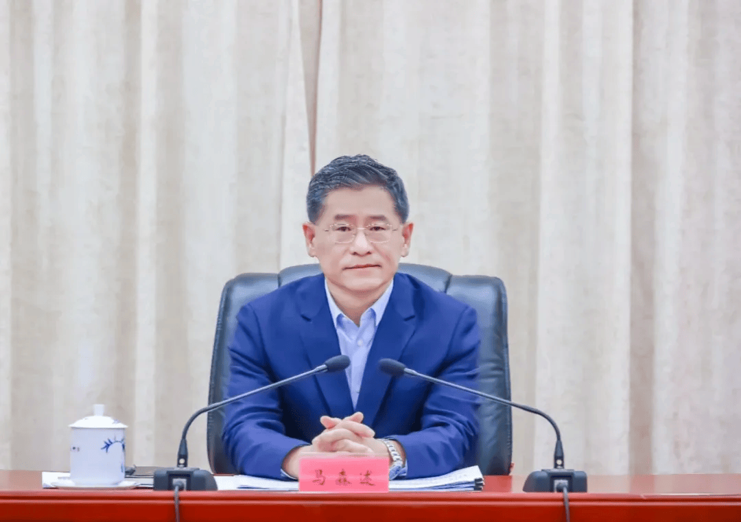 馬森述，任廣東省監(jiān)察委員會副主任，代理省監(jiān)察委員會主任職務(wù)