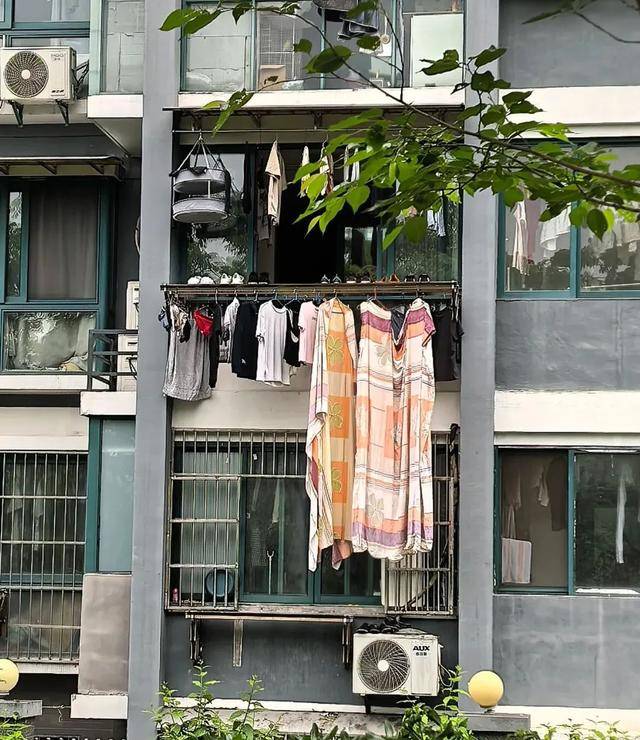 浙江發(fā)現(xiàn)一戶人家“高級(jí)晾衣法”，做法太高明了，你確定不學(xué)起來？