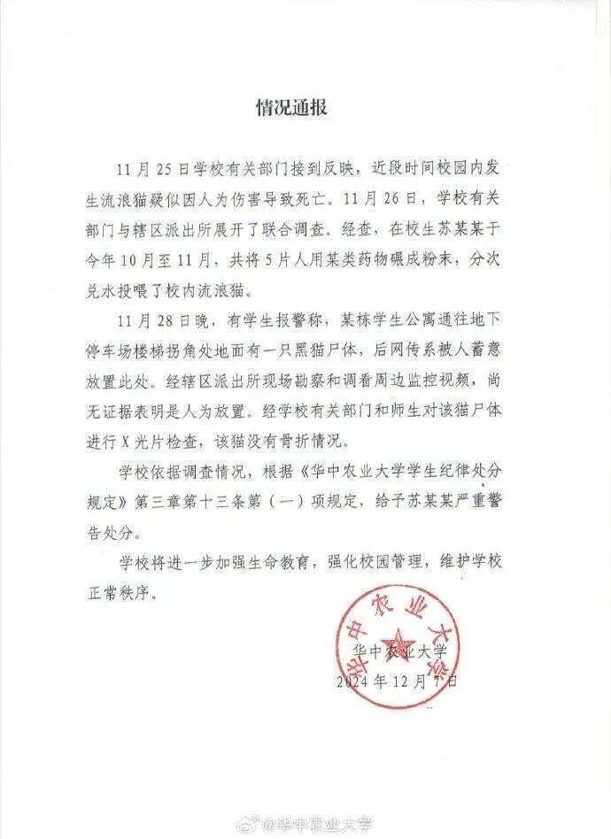 毒殺流浪貓的學(xué)生考上事業(yè)編？大批網(wǎng)友舉報(bào)！官方回應(yīng)→
