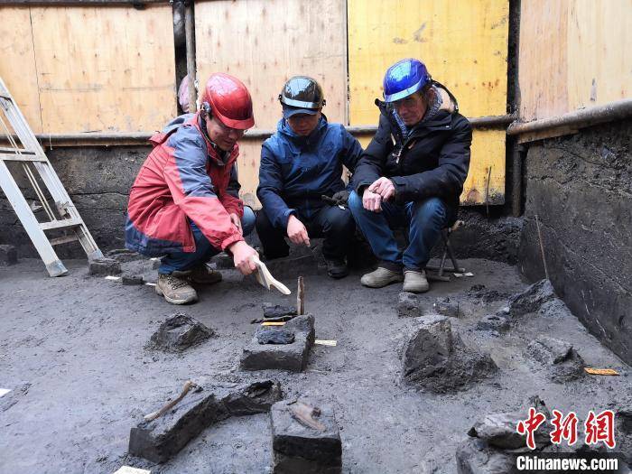 世界級(jí)重大考古成果！中國發(fā)現(xiàn)30萬年前東亞最早木器